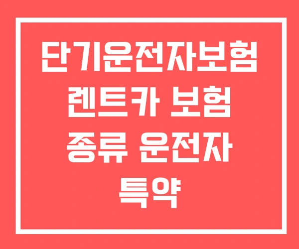 단기운전자보험 렌트카 보험 종류 운전자 특약