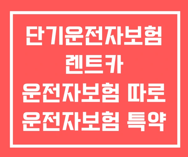 단기운전자보험 렌트카 운전자보험 따로 운전자보험 특약