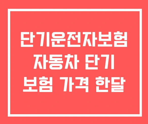 단기운전자보험 자동차 단기 보험 가격 한달