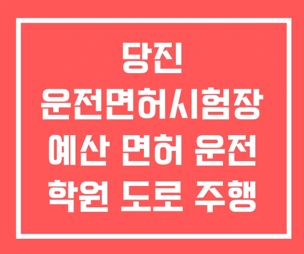 당진 운전면허시험장 예산 면허 운전 학원 도로 주행