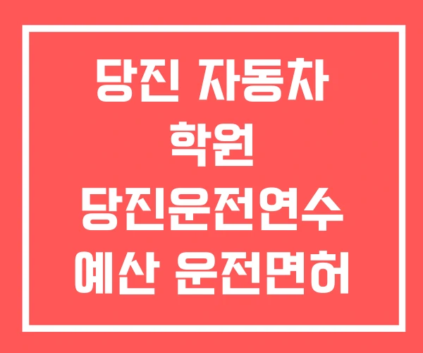 당진 자동차 학원 당진운전연수 예산 운전면허