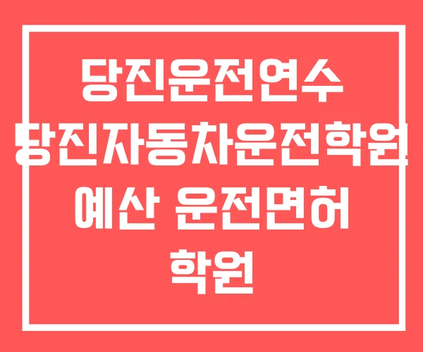당진운전연수 당진자동차운전학원 예산 운전면허 학원