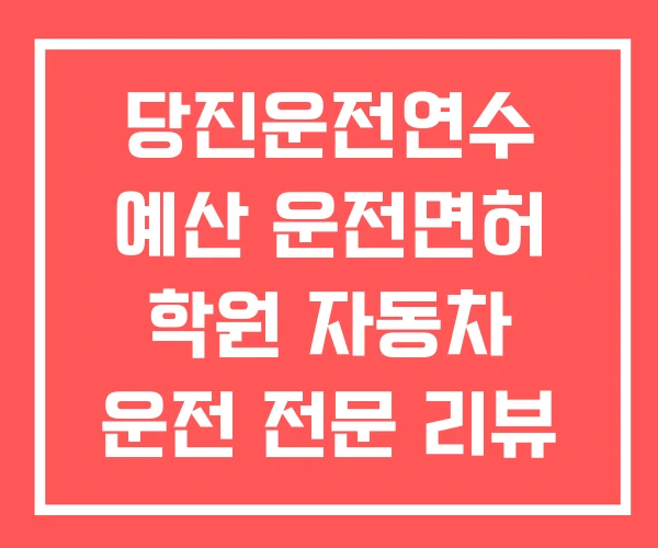 당진운전연수 예산 운전면허 학원 자동차 운전 전문 리뷰