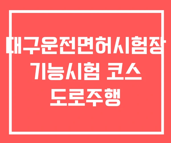 대구운전면허시험장 기능시험 코스 도로주행