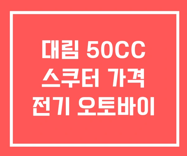 대림 50CC 스쿠터 가격 전기 오토바이