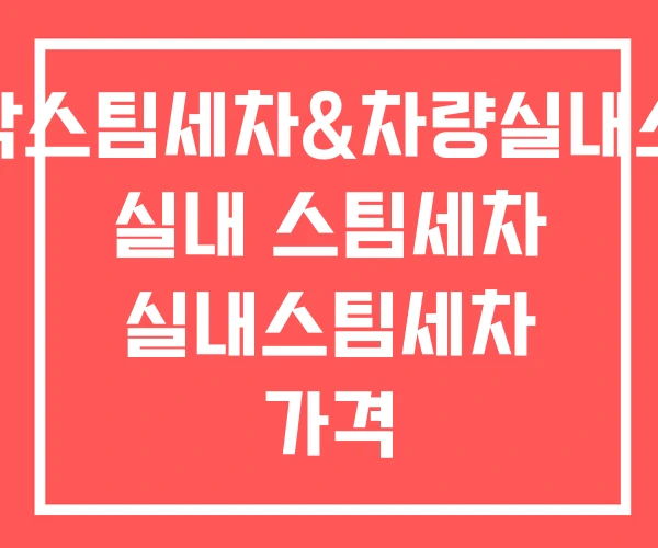 대박스팀세차&차량실내소독 실내 스팀세차 실내스팀세차 가격