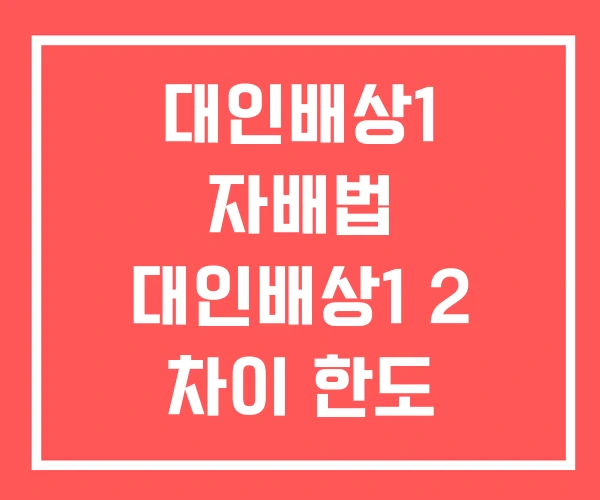 대인배상1 자배법 대인배상1 2 차이 한도