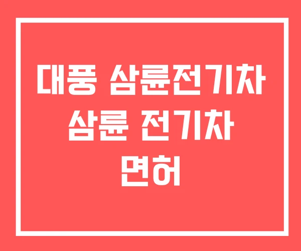 대풍 삼륜전기차 삼륜 전기차 면허