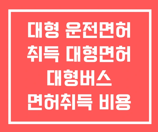 대형 운전면허 취득 대형면허 대형버스 면허취득 비용