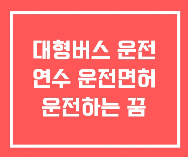 대형버스 운전 연수 운전면허 운전하는 꿈