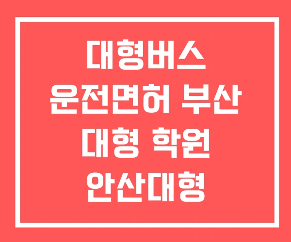 대형버스 운전면허 부산 대형 학원 안산대형