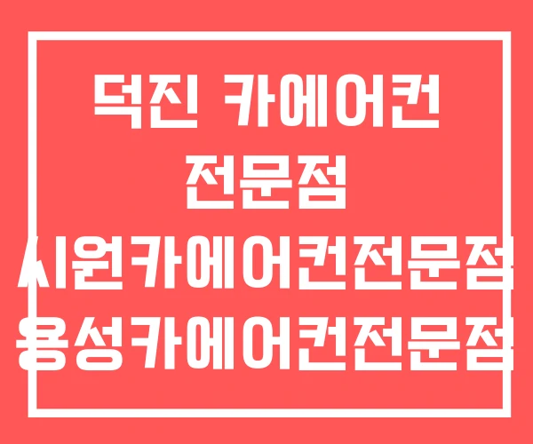 덕진 카에어컨 전문점 시원카에어컨전문점 용성카에어컨전문점