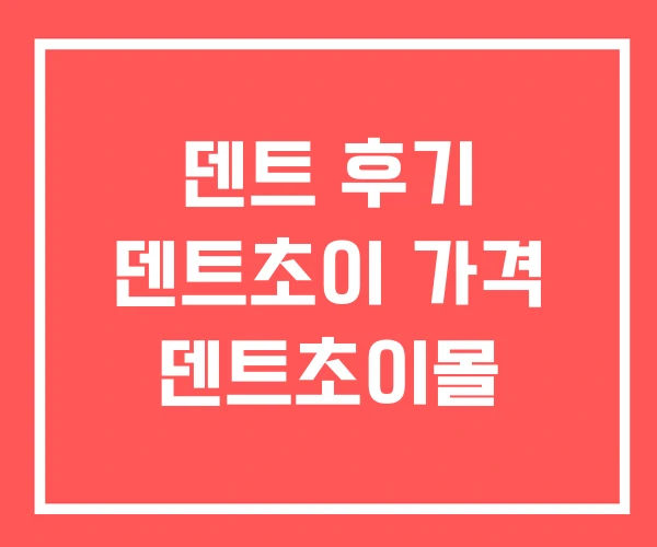 덴트 후기 덴트초이 가격 덴트초이몰