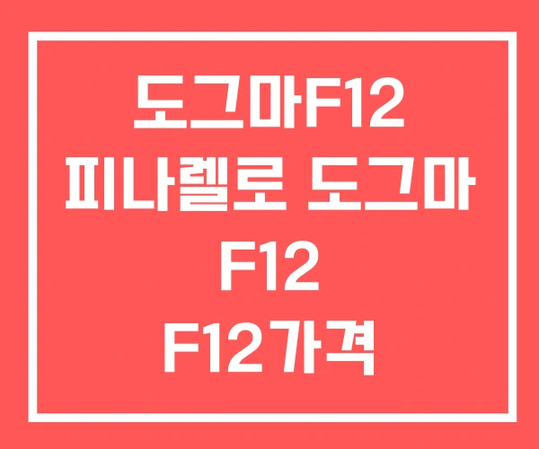 도그마F12 피나렐로 도그마 F12 F12가격