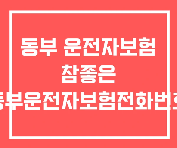 동부 운전자보험 참좋은 동부운전자보험전화번호