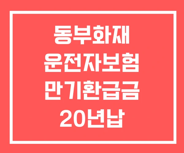동부화재 운전자보험 만기환급금 20년납 80세만기 만기