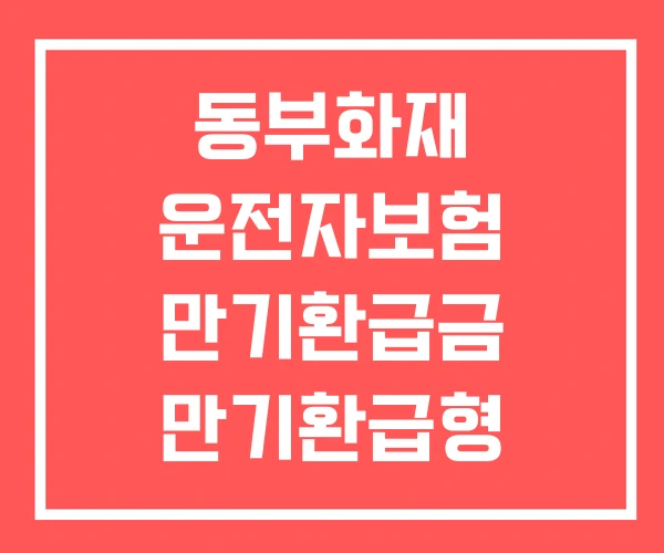 동부화재 운전자보험 만기환급금 만기환급형