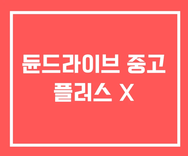 듄드라이브 중고 플러스 X