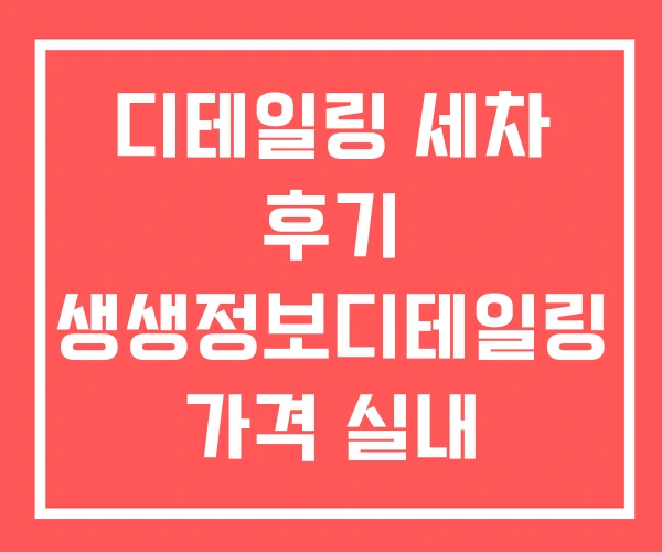디테일링 세차 후기 생생정보디테일링 가격 실내
