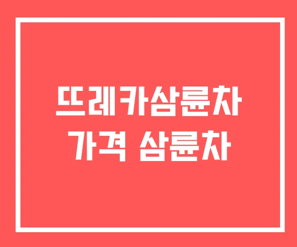 뜨레카삼륜차 가격 삼륜차