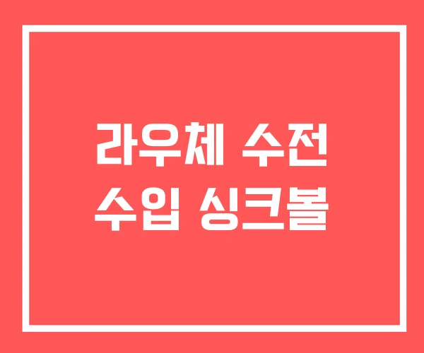 라우체 수전 수입 싱크볼 라우체 수전 수입 싱크볼