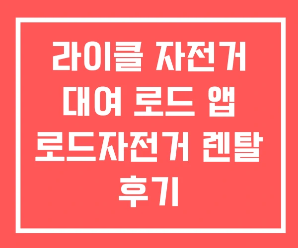 라이클 자전거 대여 로드 앱 로드자전거 렌탈 후기