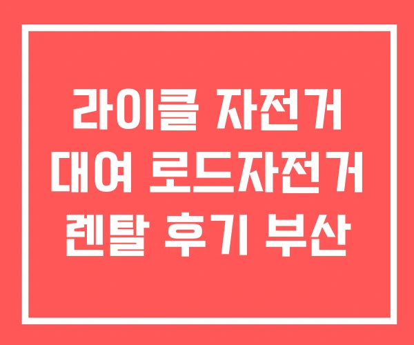 라이클 자전거 대여 로드자전거 렌탈 후기 부산