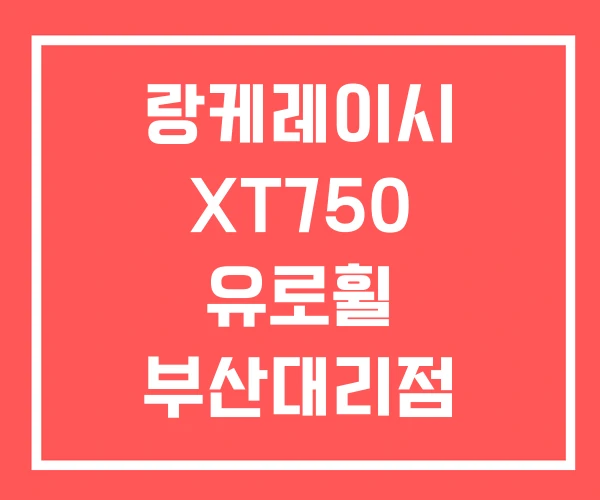 랑케레이시 XT750 유로휠 부산대리점 전기자전거