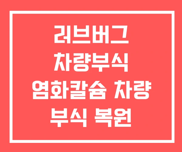 러브버그 차량부식 염화칼슘 차량 부식 복원
