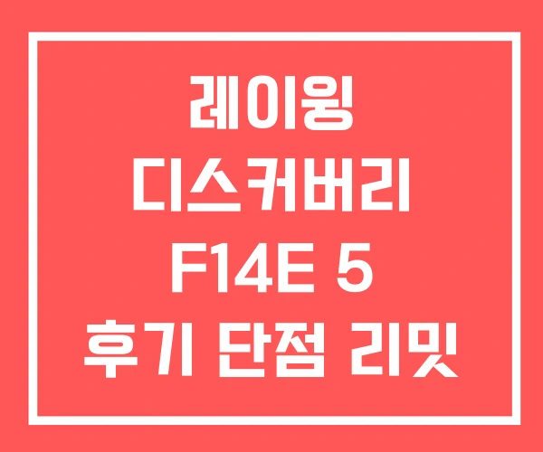 레이윙 디스커버리 F14E 5 후기 단점 리밋 해제