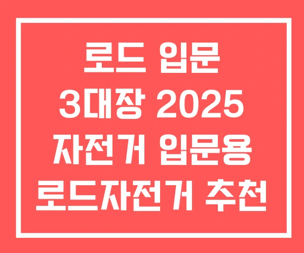 로드 입문 3대장 2025 자전거 입문용 로드자전거 추천