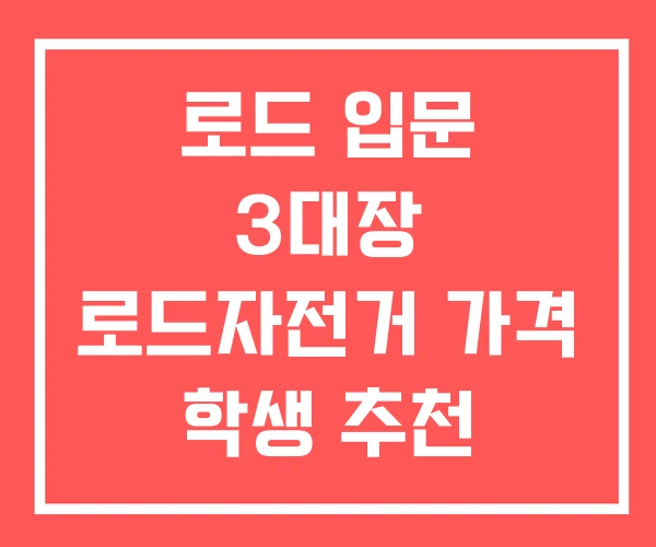 로드 입문 3대장 로드자전거 가격 학생 추천