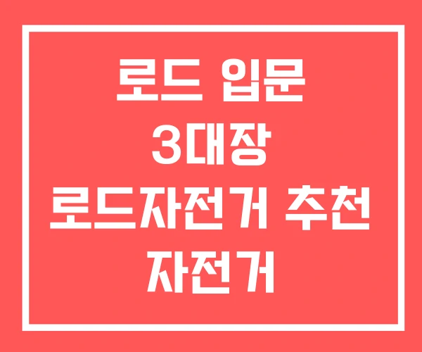 로드 입문 3대장 로드자전거 추천 자전거