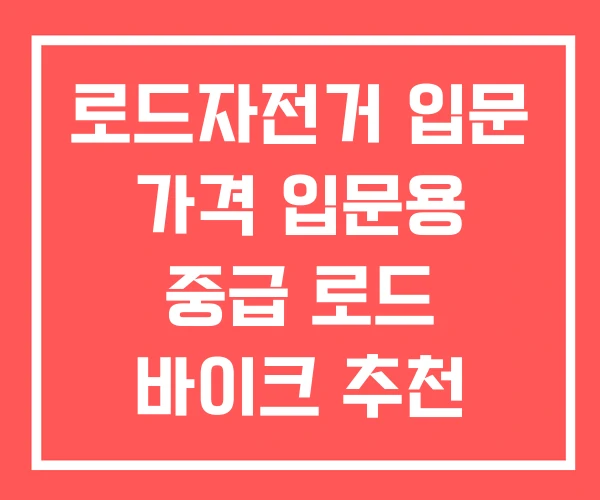 로드자전거 입문 가격 입문용 중급 로드 바이크 추천