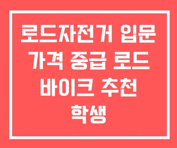 로드자전거 입문 가격 중급 로드 바이크 추천 학생 로드자전거 입문 가격 중급 로드 바이크 추천 학생