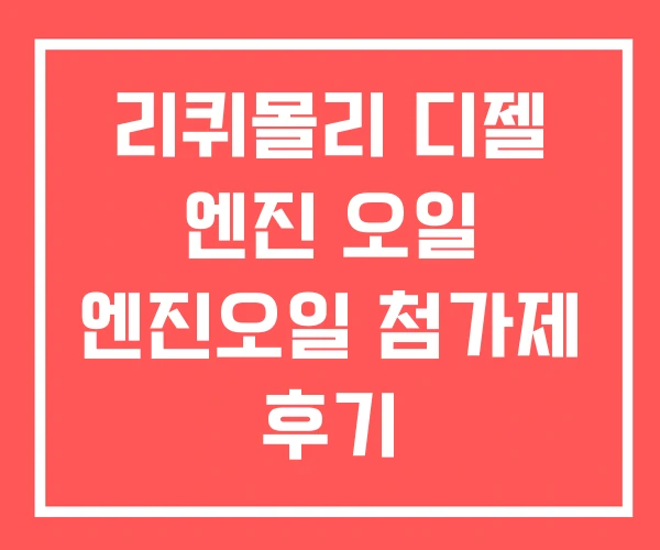리퀴몰리 디젤 엔진 오일 엔진오일 첨가제 후기