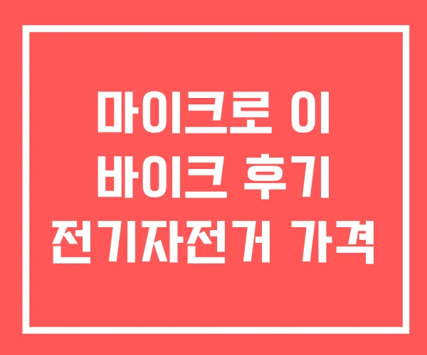 마이크로 이 바이크 후기 전기자전거 가격