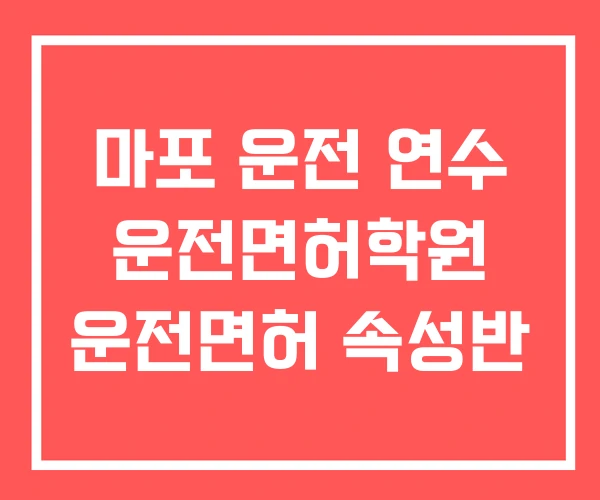 마포 운전 연수 운전면허학원 운전면허 속성반 마포 운전 연수 운전면허학원 운전면허 속성반