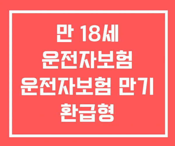 만 18세 운전자보험 운전자보험 만기 환급형