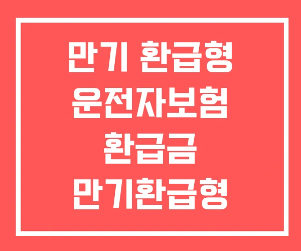 만기 환급형 운전자보험 환급금 만기환급형