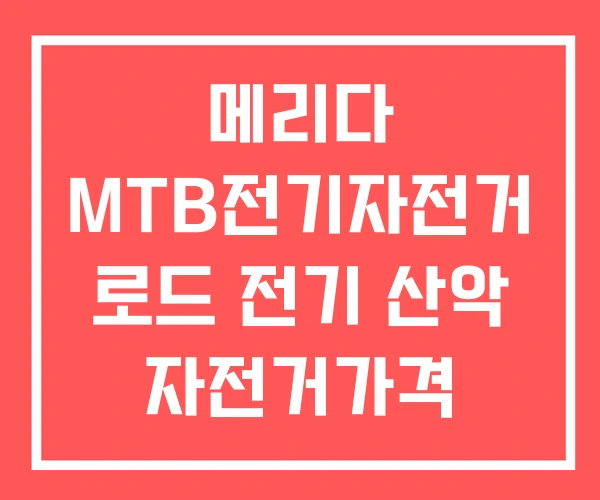 메리다 MTB전기자전거 로드 전기 산악 자전거가격