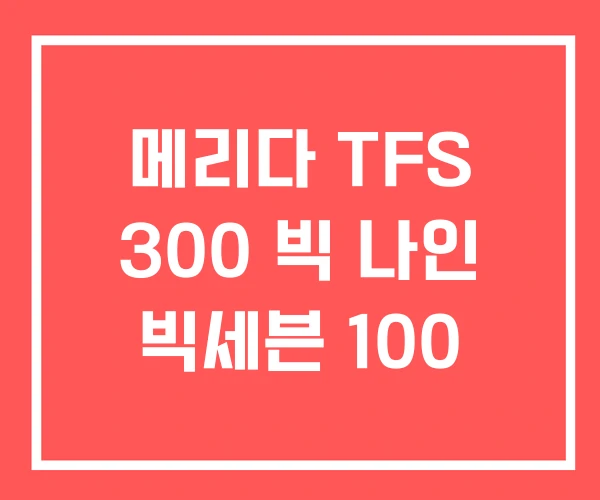 메리다 TFS 300 빅 나인 빅세븐 100
