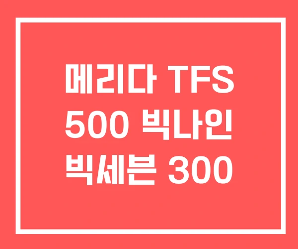 메리다 TFS 500 빅나인 빅세븐 300