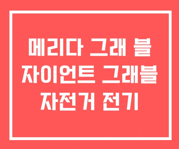 메리다 그래 블 자이언트 그래블 자전거 전기