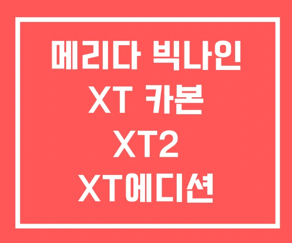 메리다 빅나인 XT 카본 XT2 XT에디션 메리다 빅나인 XT 카본 XT2 XT에디션