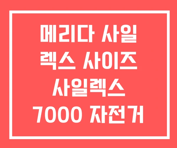 메리다 사일 렉스 사이즈 사일렉스 7000 자전거 수리