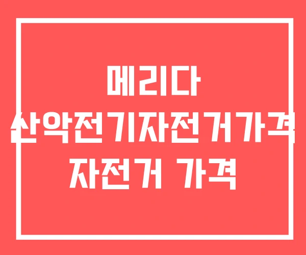 메리다 산악전기자전거가격 자전거 가격