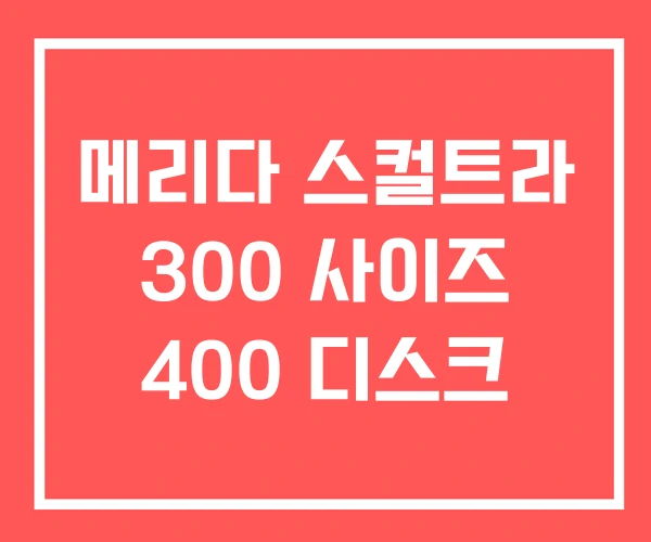 메리다 스컬트라 300 사이즈 400 디스크 메리다 스컬트라 300 사이즈 400 디스크