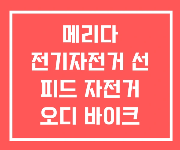 메리다 전기자전거 선 피드 자전거 오디 바이크