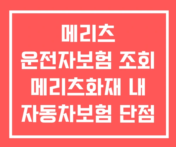 메리츠 운전자보험 조회 메리츠화재 내 자동차보험 단점